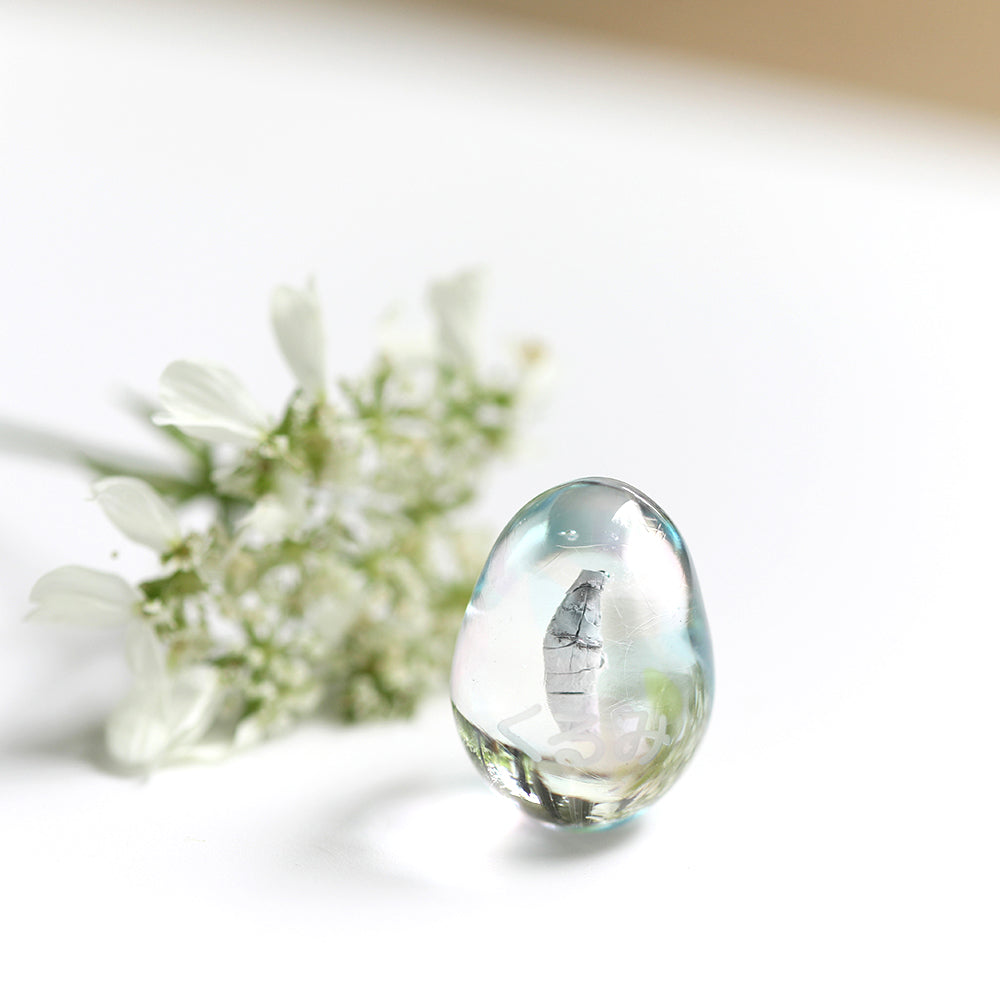 キバをお入れしました