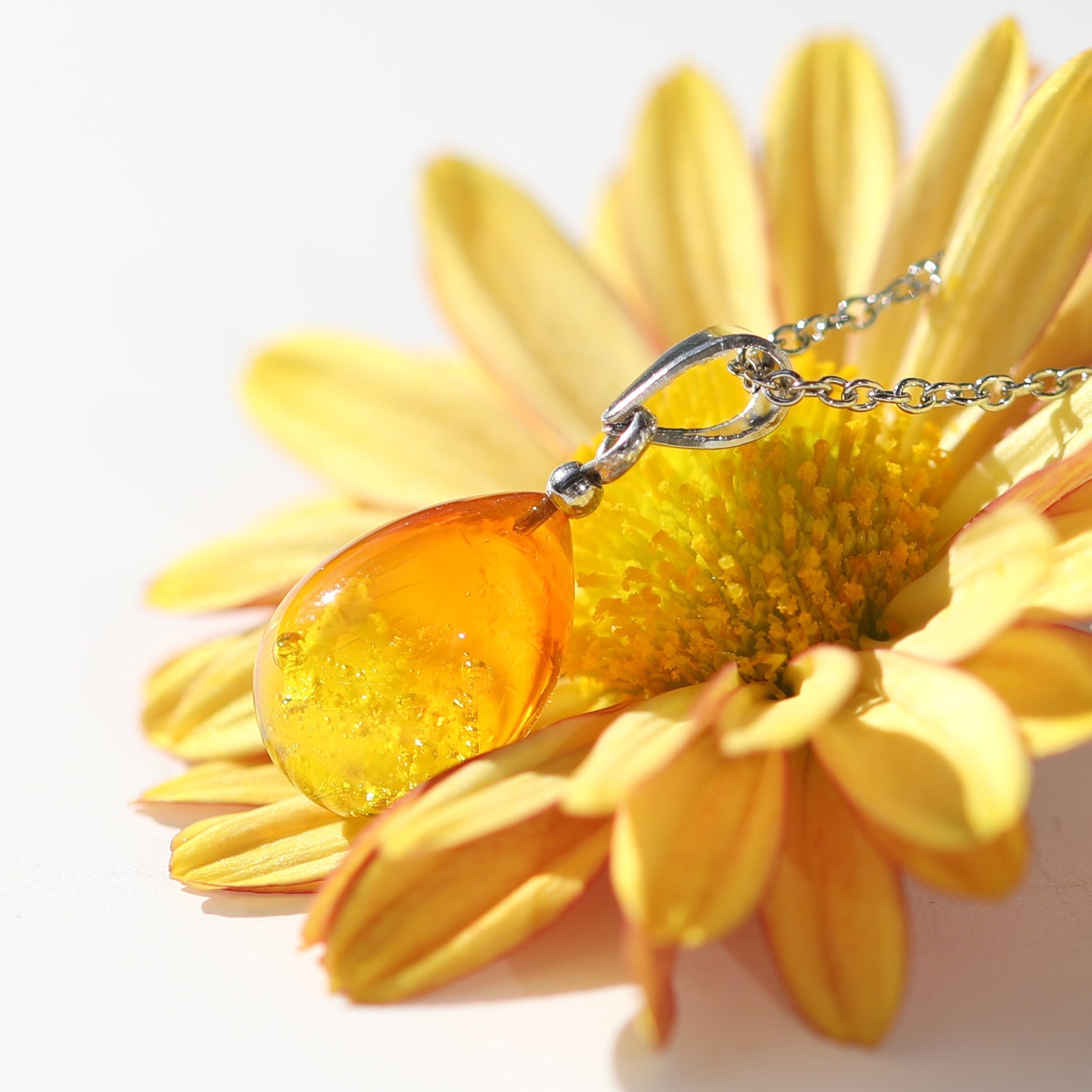 ひまわりのイメージ　