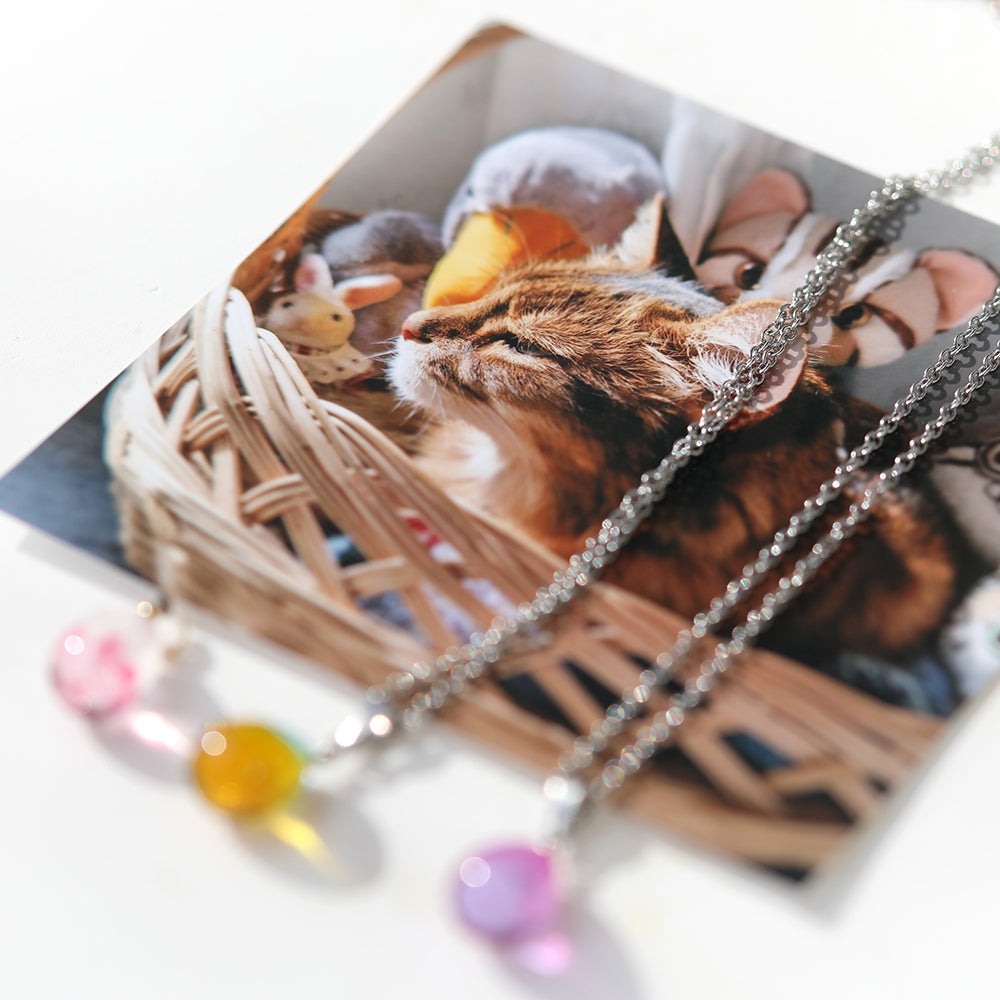 工房へ来るお骨さんはみんな愛されている