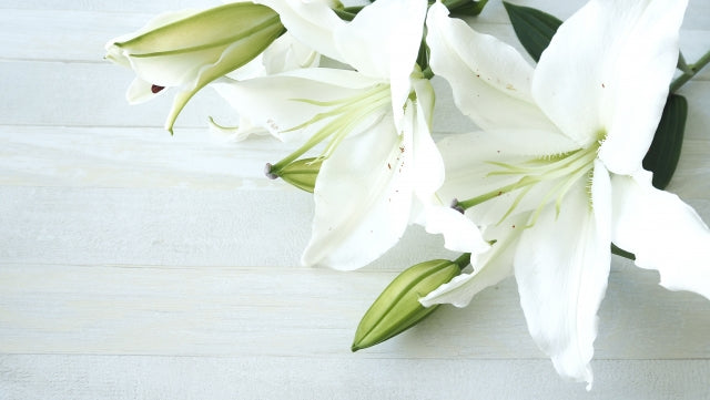 分骨は悪いこと？⼤切な方を想う“分骨”のかたち