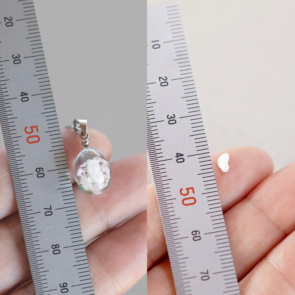 ガラスの中に入るとお骨が大きく見えます