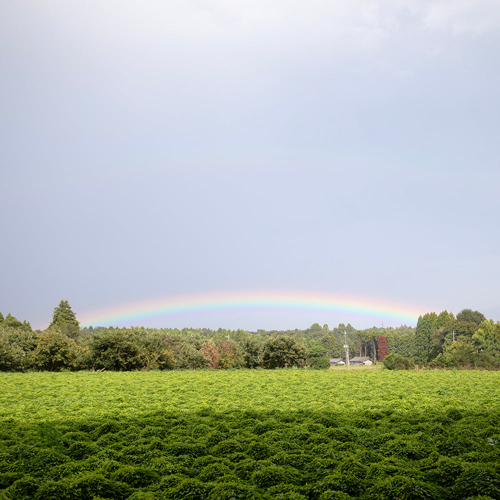 只今の待ち時間　約２か月半