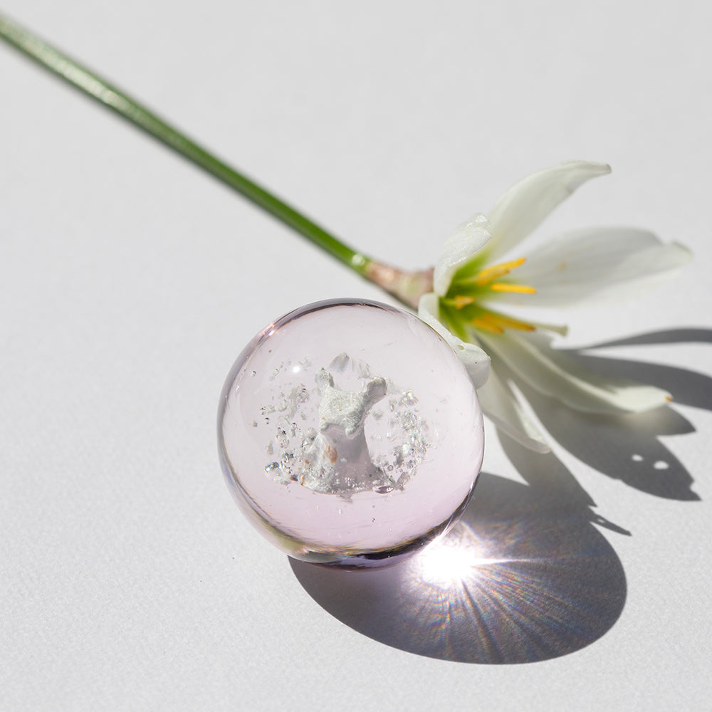 うさぎさんみたいなお骨