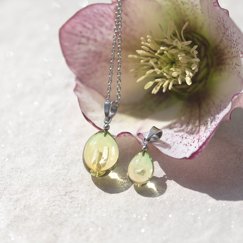 ちっちゃーいキバを三本お入れしました