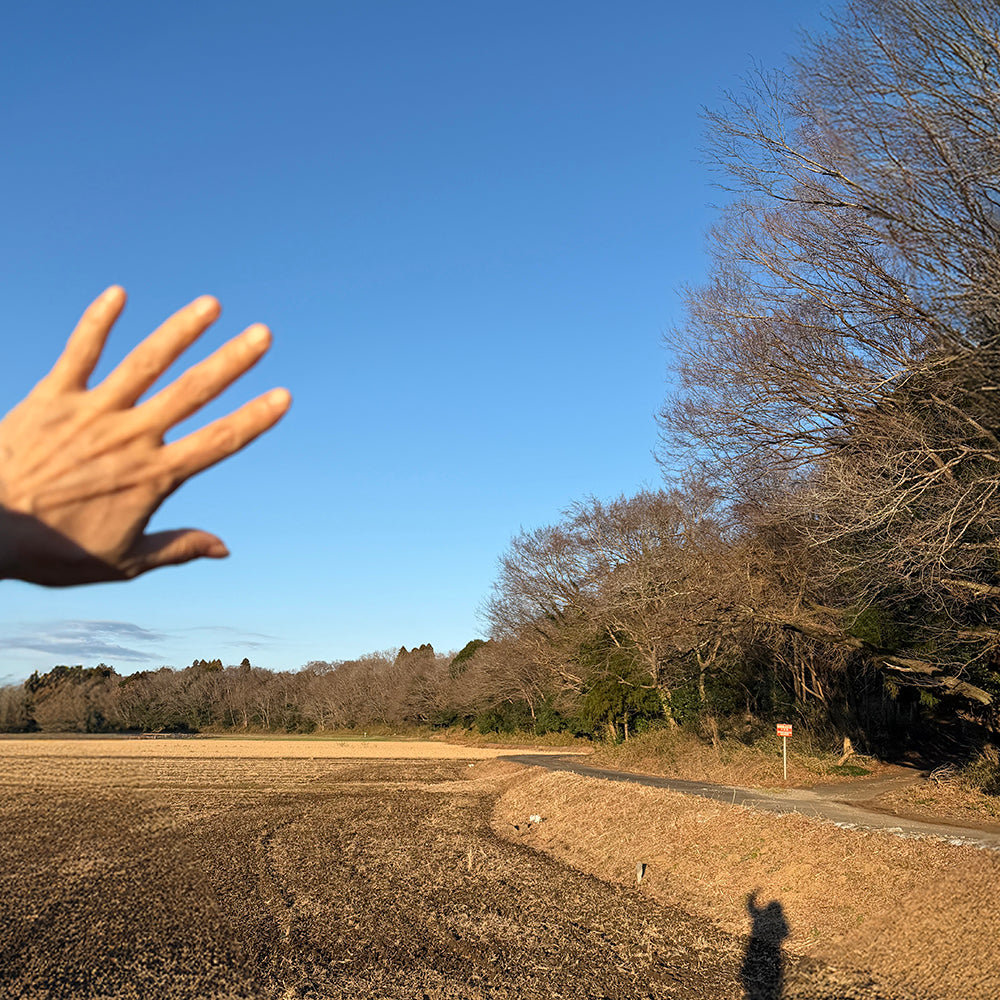 新年のご挨拶に代えて