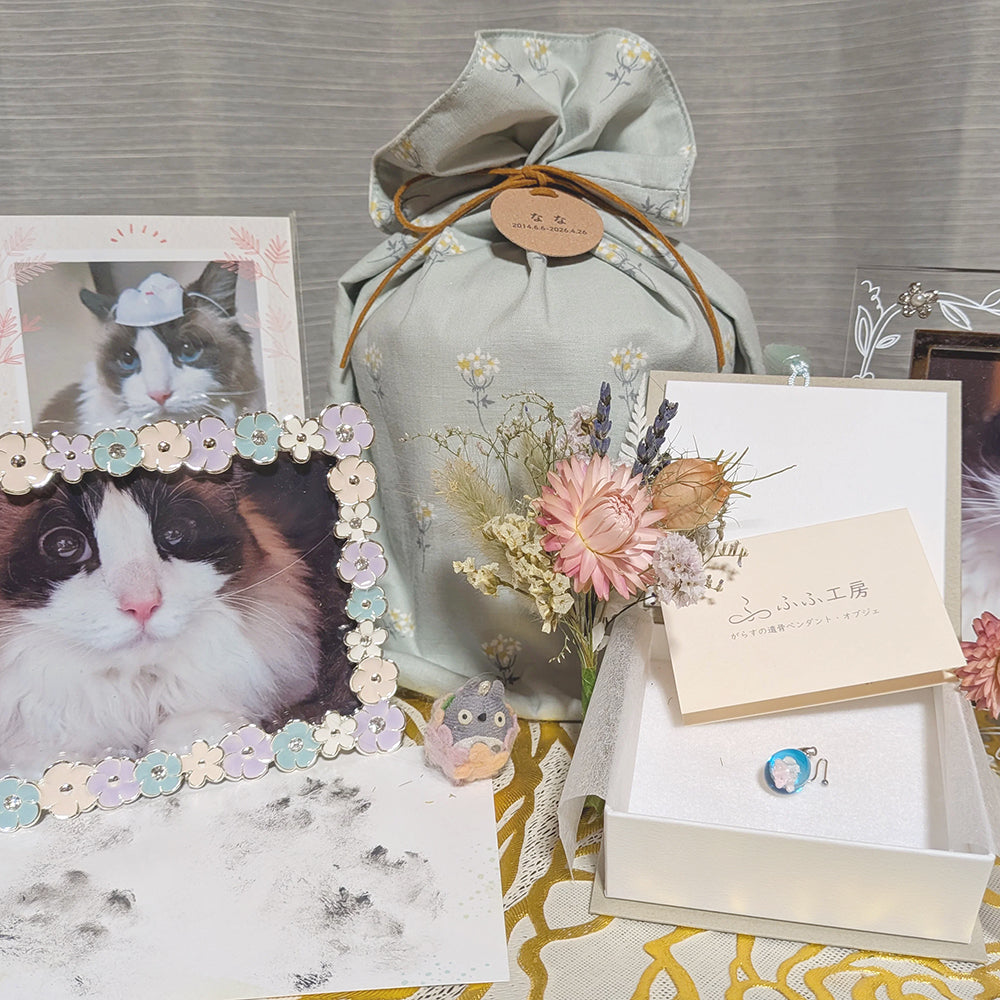 お写真とご感想を頂きましたのでご紹介させていただきます