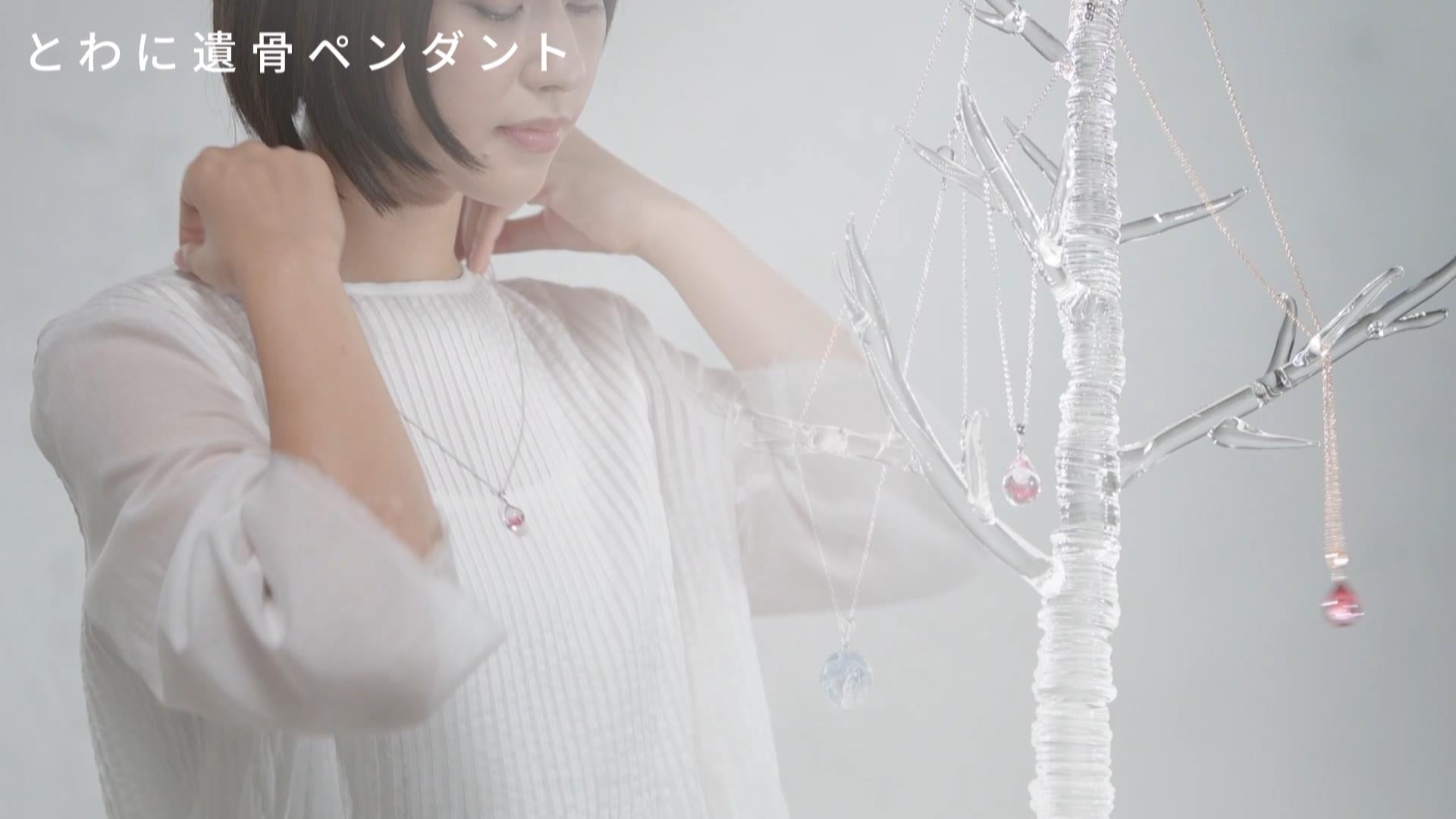プロモーション動画